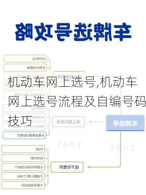 机动车网上选号,机动车网上选号流程及自编号码技巧