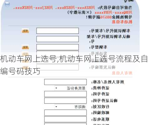 机动车网上选号,机动车网上选号流程及自编号码技巧