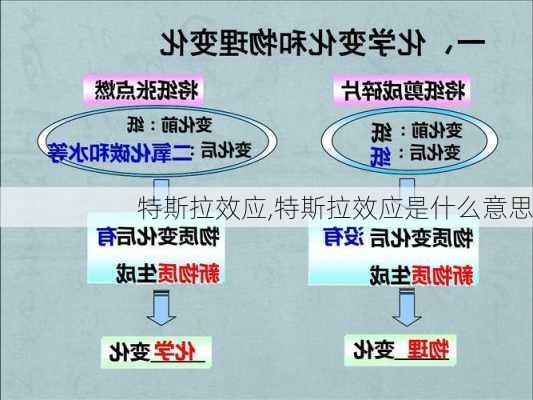 特斯拉效应,特斯拉效应是什么意思