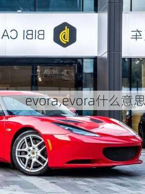 evora,evora什么意思