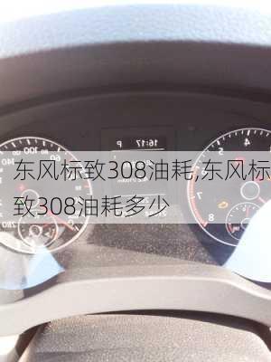 东风标致308油耗,东风标致308油耗多少