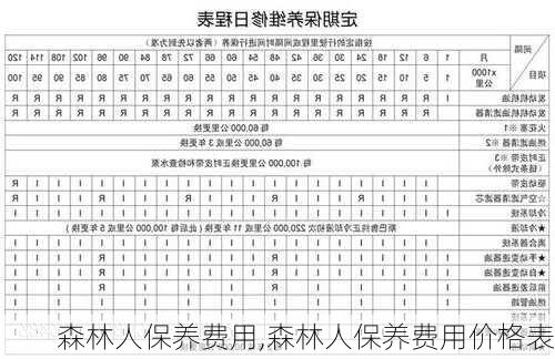 森林人保养费用,森林人保养费用价格表