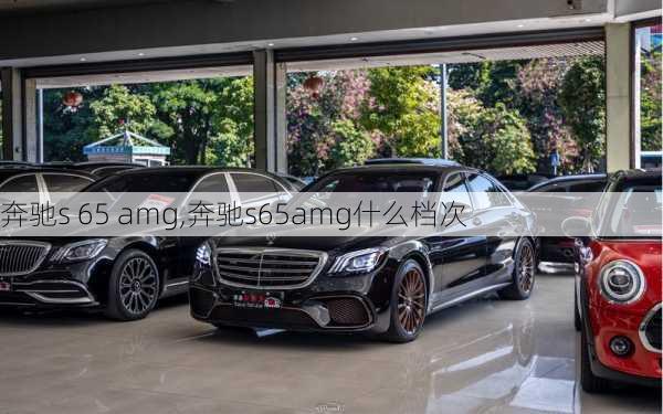 奔驰s 65 amg,奔驰s65amg什么档次