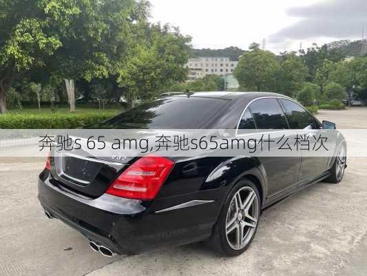 奔驰s 65 amg,奔驰s65amg什么档次