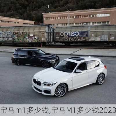 宝马m1多少钱,宝马M1多少钱2023