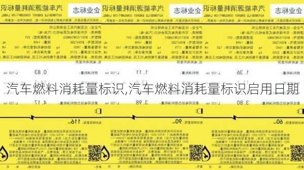 汽车燃料消耗量标识,汽车燃料消耗量标识启用日期