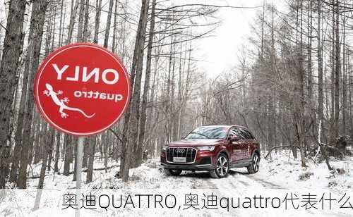 奥迪QUATTRO,奥迪quattro代表什么