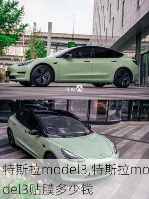 特斯拉model3,特斯拉model3贴膜多少钱