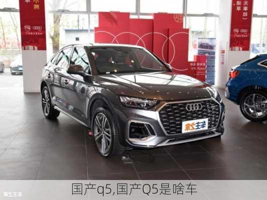 国产q5,国产Q5是啥车