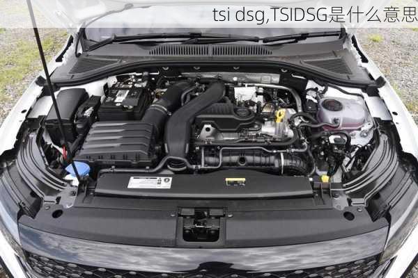 tsi dsg,TSIDSG是什么意思