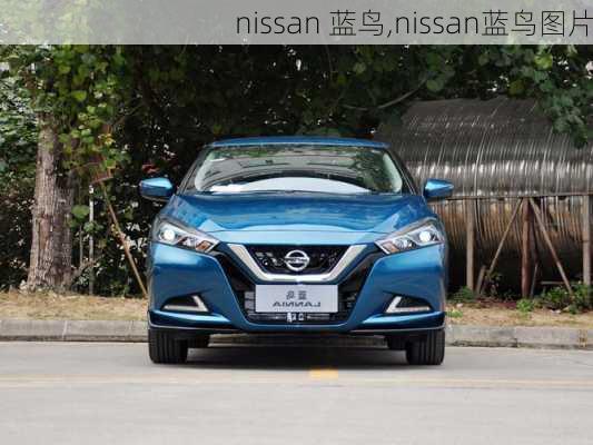 nissan 蓝鸟,nissan蓝鸟图片