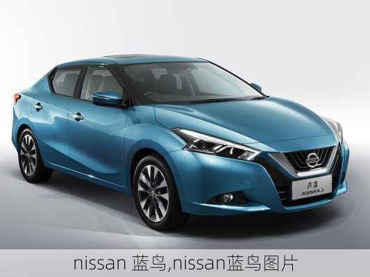 nissan 蓝鸟,nissan蓝鸟图片