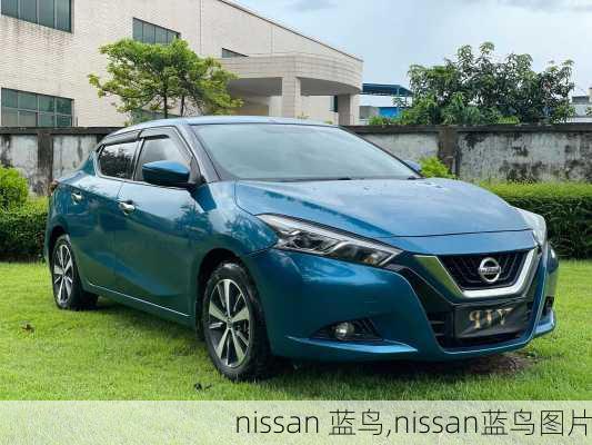 nissan 蓝鸟,nissan蓝鸟图片