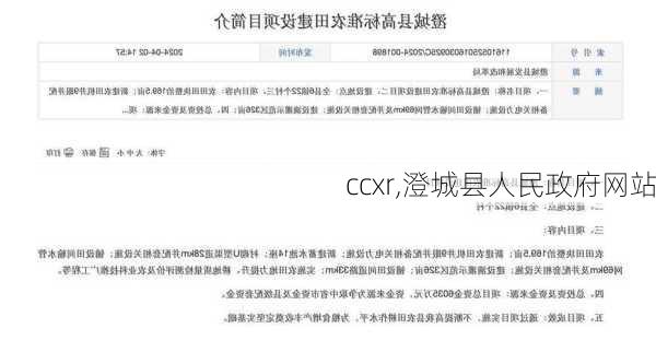 ccxr,澄城县人民政府网站