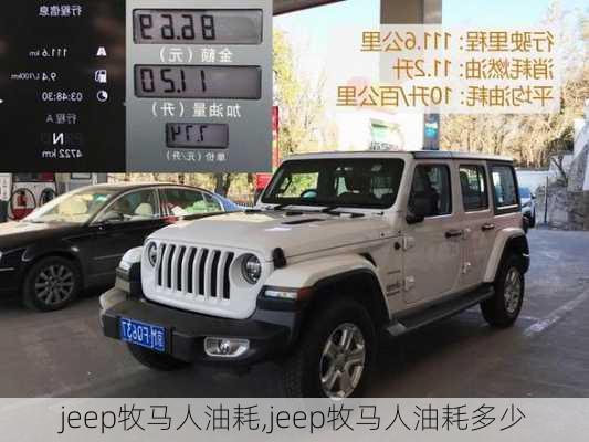 jeep牧马人油耗,jeep牧马人油耗多少