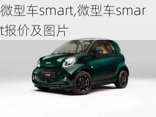 微型车smart,微型车smart报价及图片