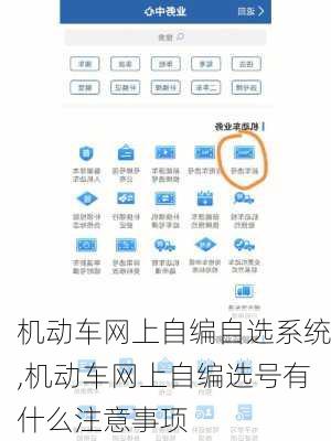 机动车网上自编自选系统,机动车网上自编选号有什么注意事项