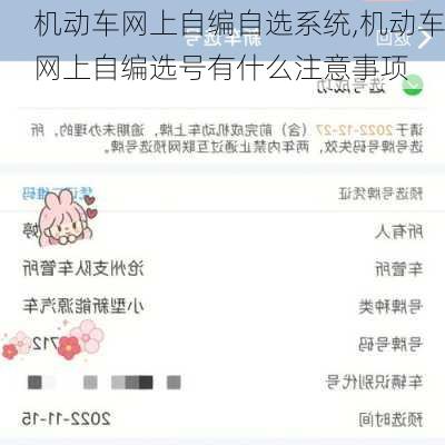 机动车网上自编自选系统,机动车网上自编选号有什么注意事项