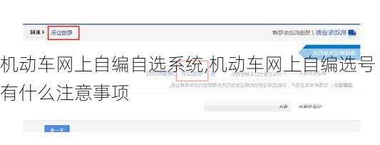 机动车网上自编自选系统,机动车网上自编选号有什么注意事项
