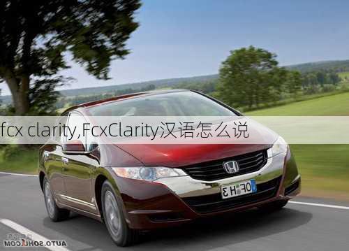 fcx clarity,FcxClarity汉语怎么说