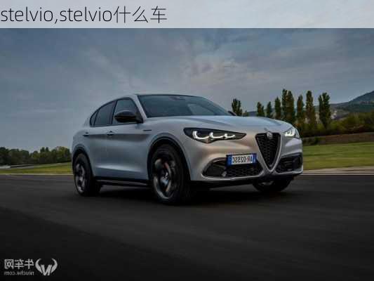 stelvio,stelvio什么车