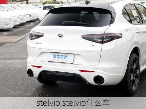 stelvio,stelvio什么车