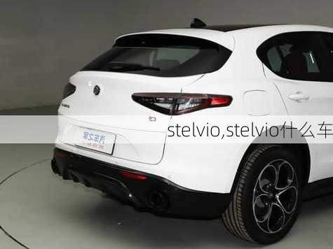 stelvio,stelvio什么车