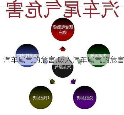 汽车尾气的危害,吸入汽车尾气的危害