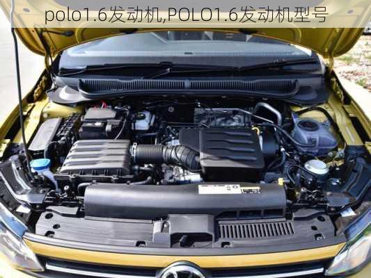 polo1.6发动机,POLO1.6发动机型号