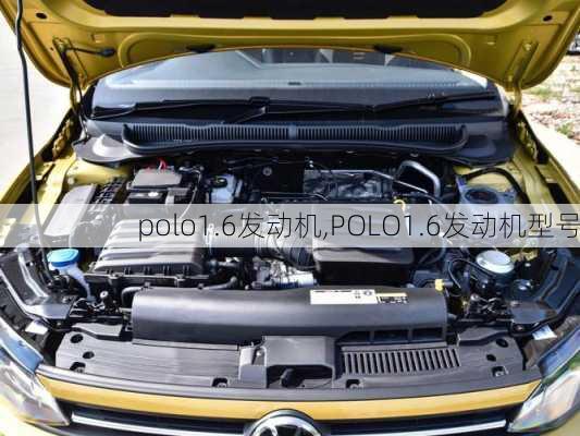 polo1.6发动机,POLO1.6发动机型号