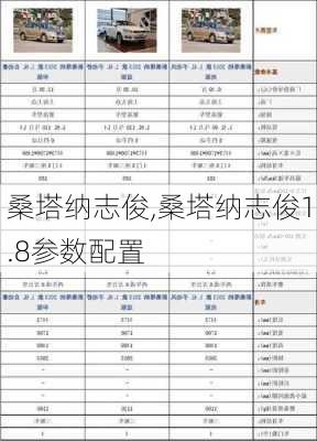 桑塔纳志俊,桑塔纳志俊1.8参数配置