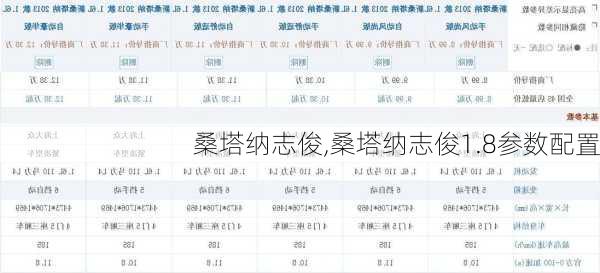 桑塔纳志俊,桑塔纳志俊1.8参数配置