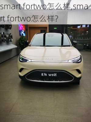 smart fortwo怎么样,smart fortwo怎么样?