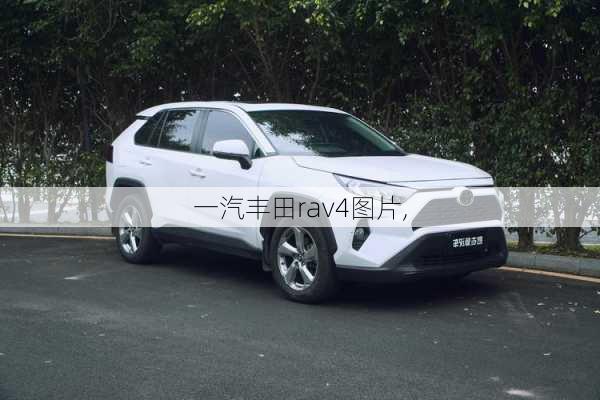 一汽丰田rav4图片,