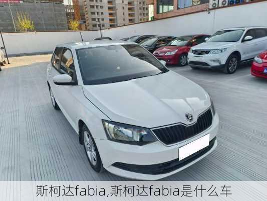 斯柯达fabia,斯柯达fabia是什么车