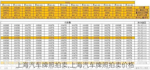 上海汽车牌照拍卖,上海汽车牌照拍卖价格