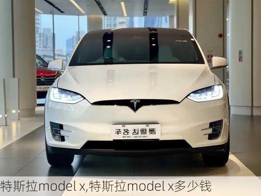 特斯拉model x,特斯拉model x多少钱