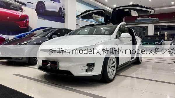 特斯拉model x,特斯拉model x多少钱