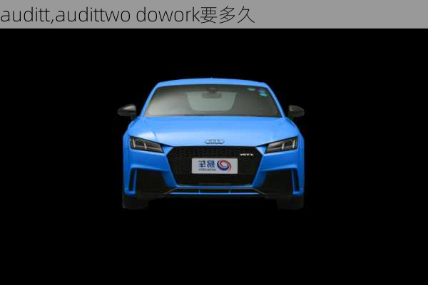 auditt,audittwo dowork要多久