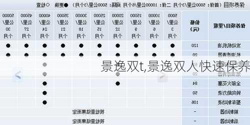 景逸双t,景逸双人快速保养