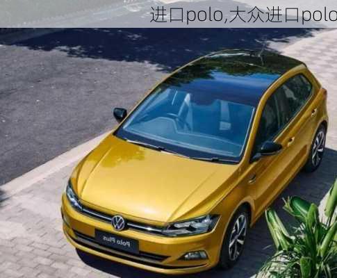 进口polo,大众进口polo