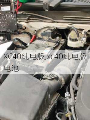 XC40纯电版,xc40纯电版电池