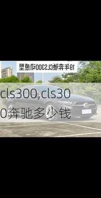 cls300,cls300奔驰多少钱