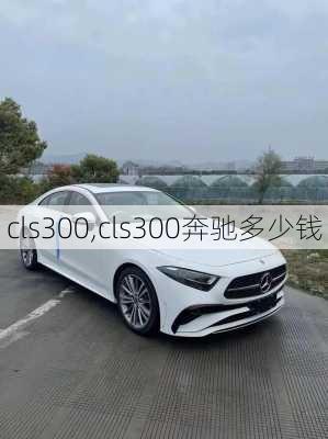 cls300,cls300奔驰多少钱