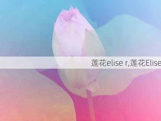 莲花elise r,莲花Elise