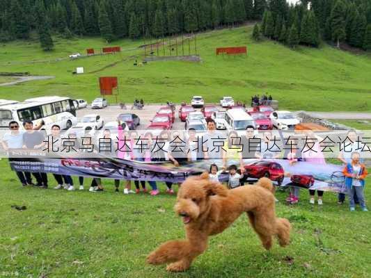 北京马自达车友会,北京马自达车友会论坛