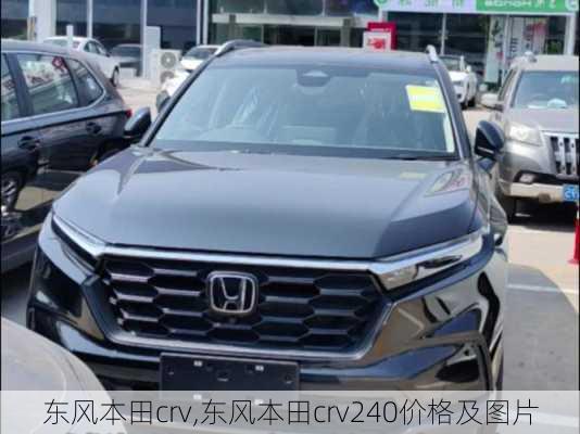 东风本田crv,东风本田crv240价格及图片