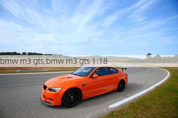 bmw m3 gts,bmw m3 gts 1:18