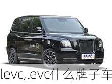 levc,levc什么牌子车