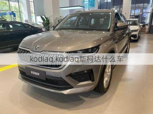 kodiaq,kodiaq斯柯达什么车